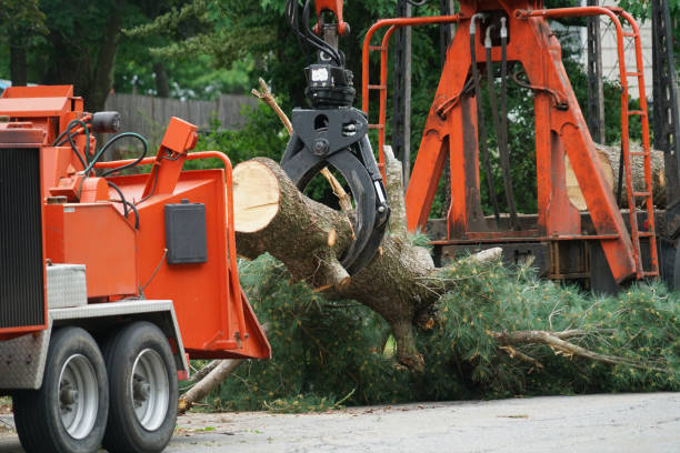 Best Lawn Drainage Solutions  in Florence, MT